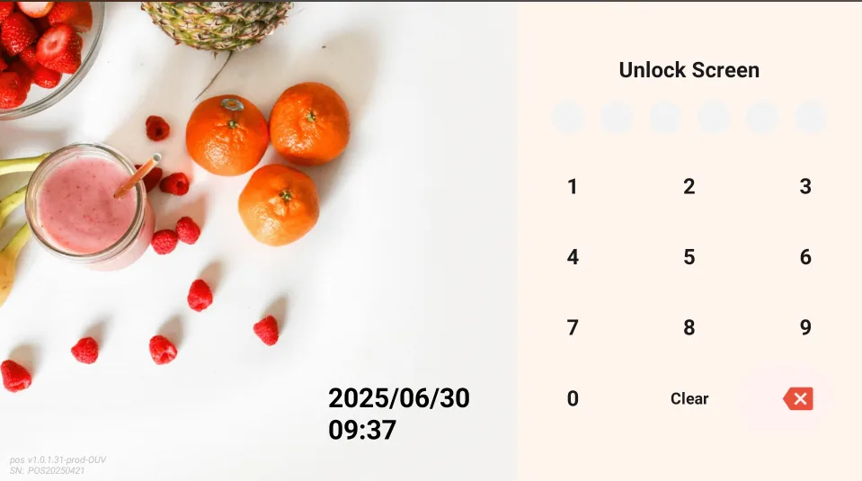 Instructions for Using the Functions of the Ordering Cash Register screenshot 148